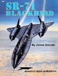 SR-71 Blackbird by GOODALL, James
